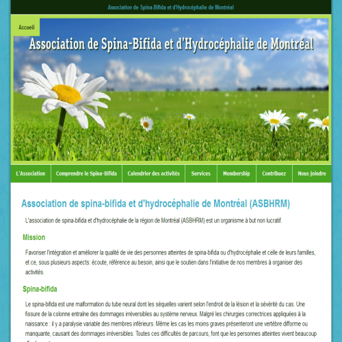 ASSOCIATION SPINA BIFIDA ET D'HYDROCEPHALIE DE MONTREAL