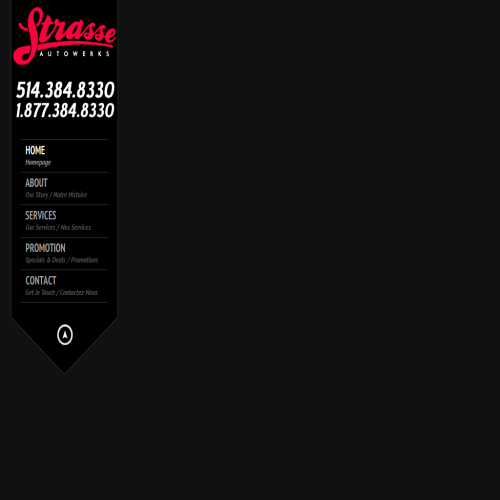 STRASSE INC STRASSE INC