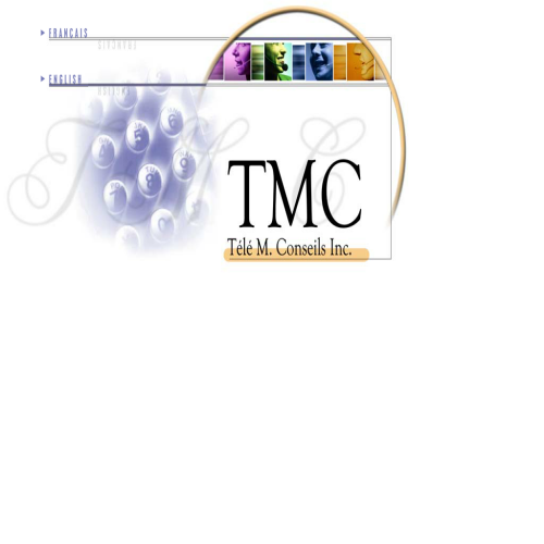 TELE M CONSEILS INC