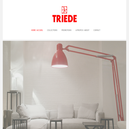 TRIEDE DESIGN INC