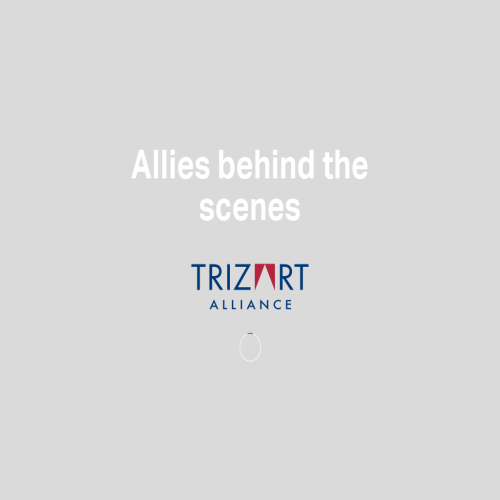 TRIZART ALLIANCE INC