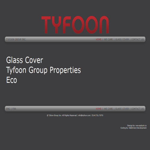 INTERNATIONAL TYFOON INC
