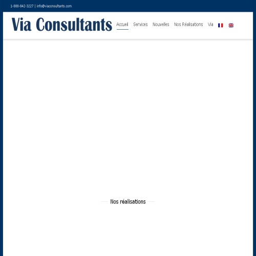 VIA CONSULTANTS INC