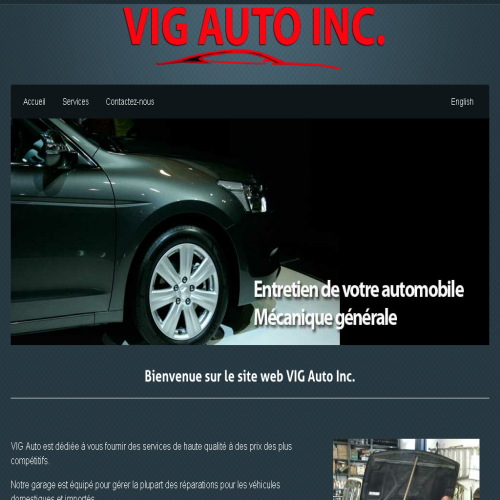 VIG AUTO INC