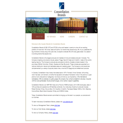 VINCOR INTERNATIONAL INC