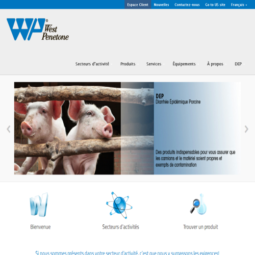 WEST PENETONE INC