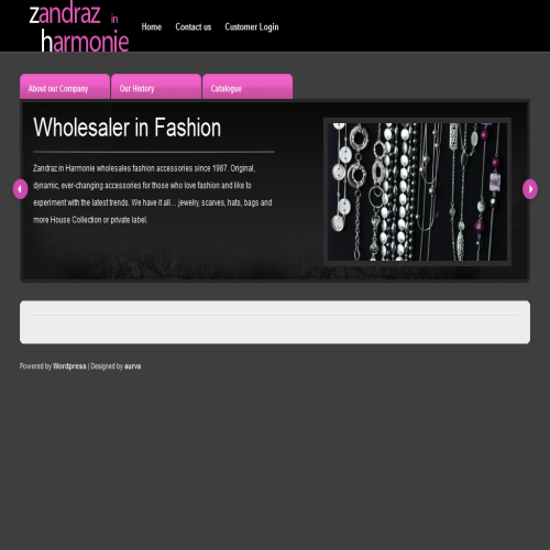 ZANDRAZ ACCESSORIES INC